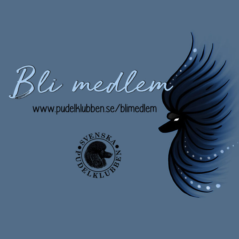 Om avdelningen
